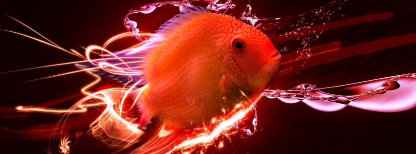 Red Fish