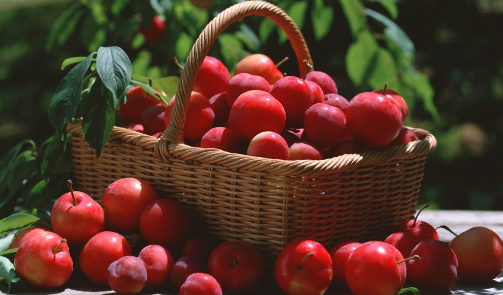 Red Plums In A Basket