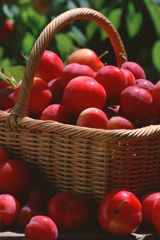 Red Plums In A Basket