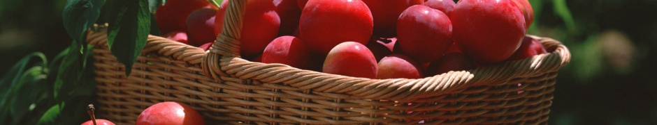 Red Plums In A Basket