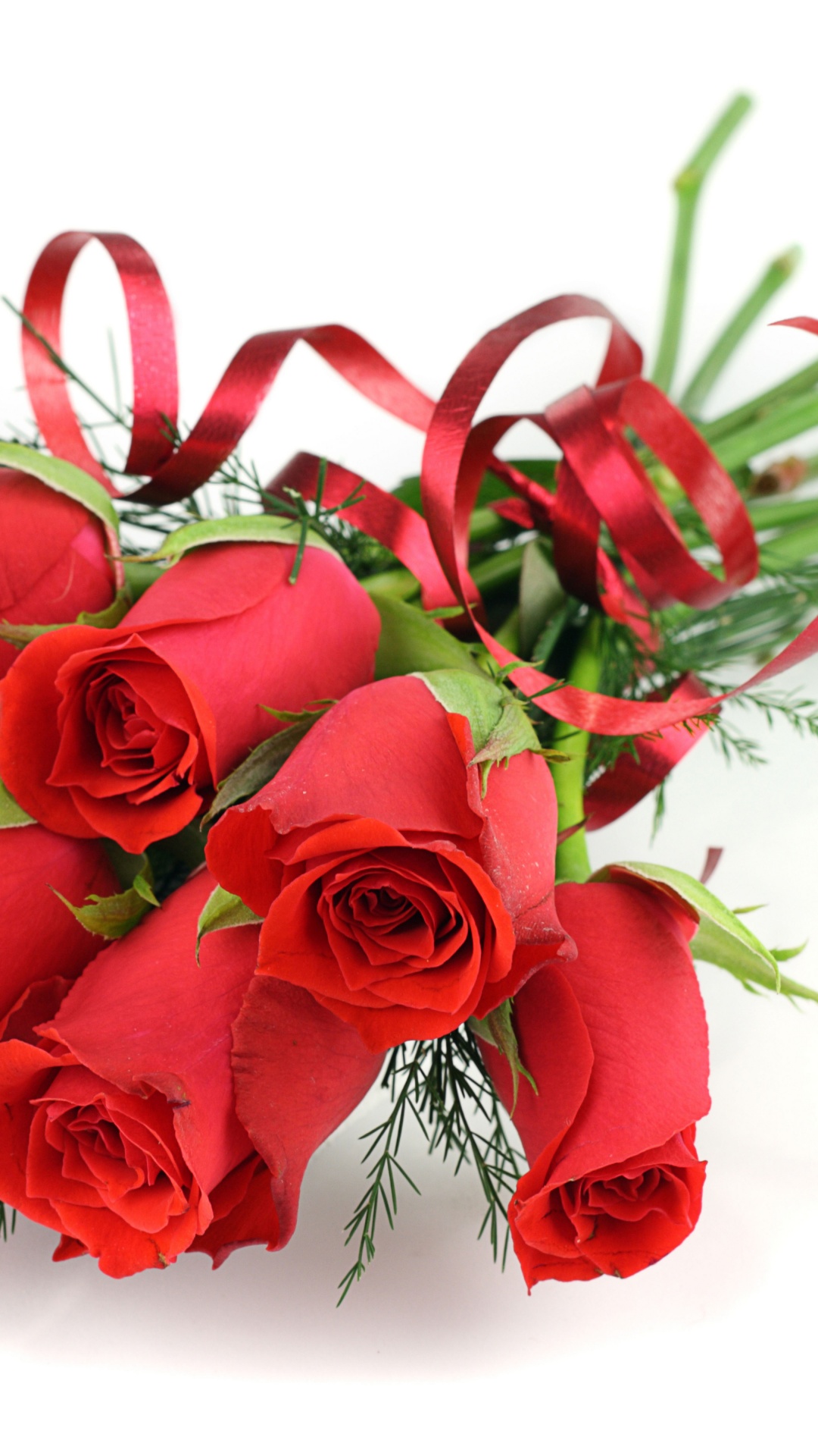 Red Roses For March 8 Womens Day