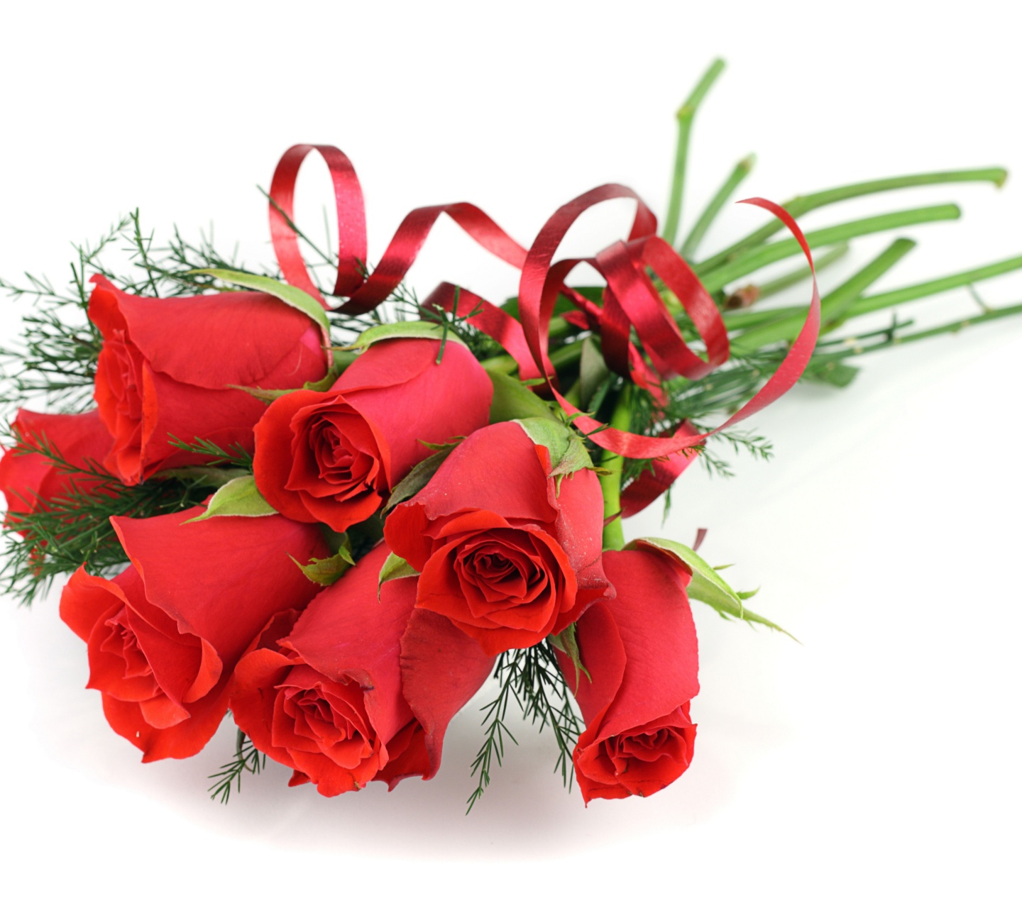 Red Roses For March 8 Womens Day