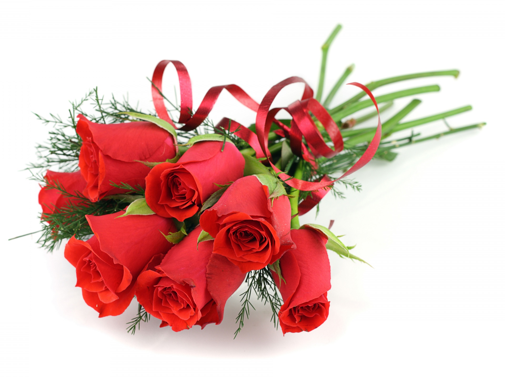 Red Roses For March 8 Womens Day