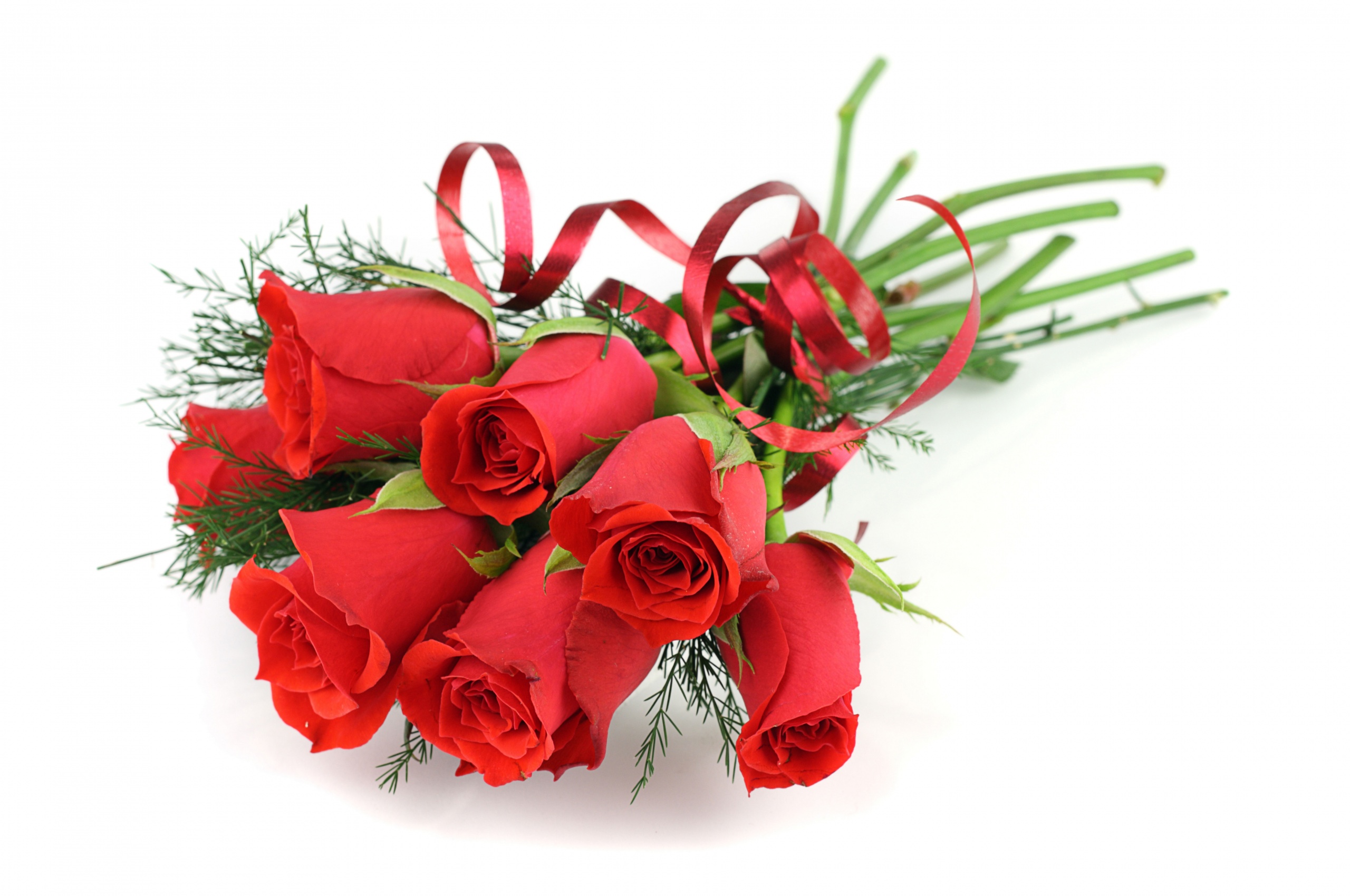 Red Roses For March 8 Womens Day