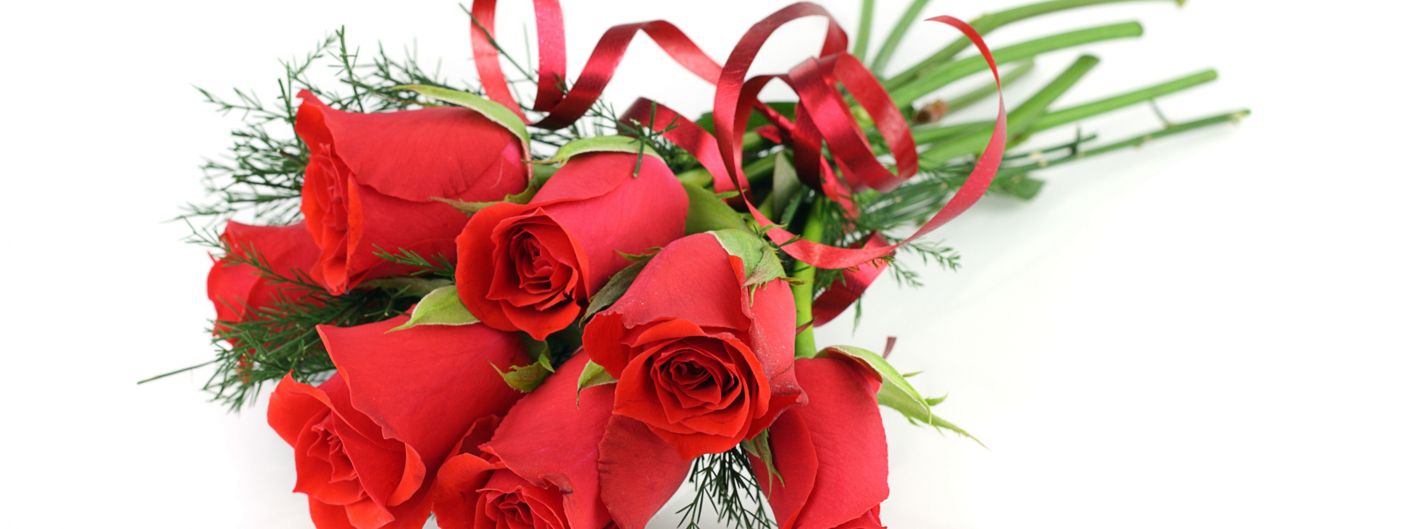 Red Roses For March 8 Womens Day