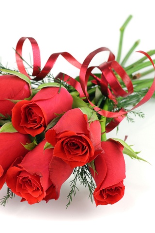 Red Roses For March 8 Womens Day