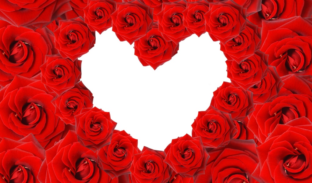 Red Roses Love Heart