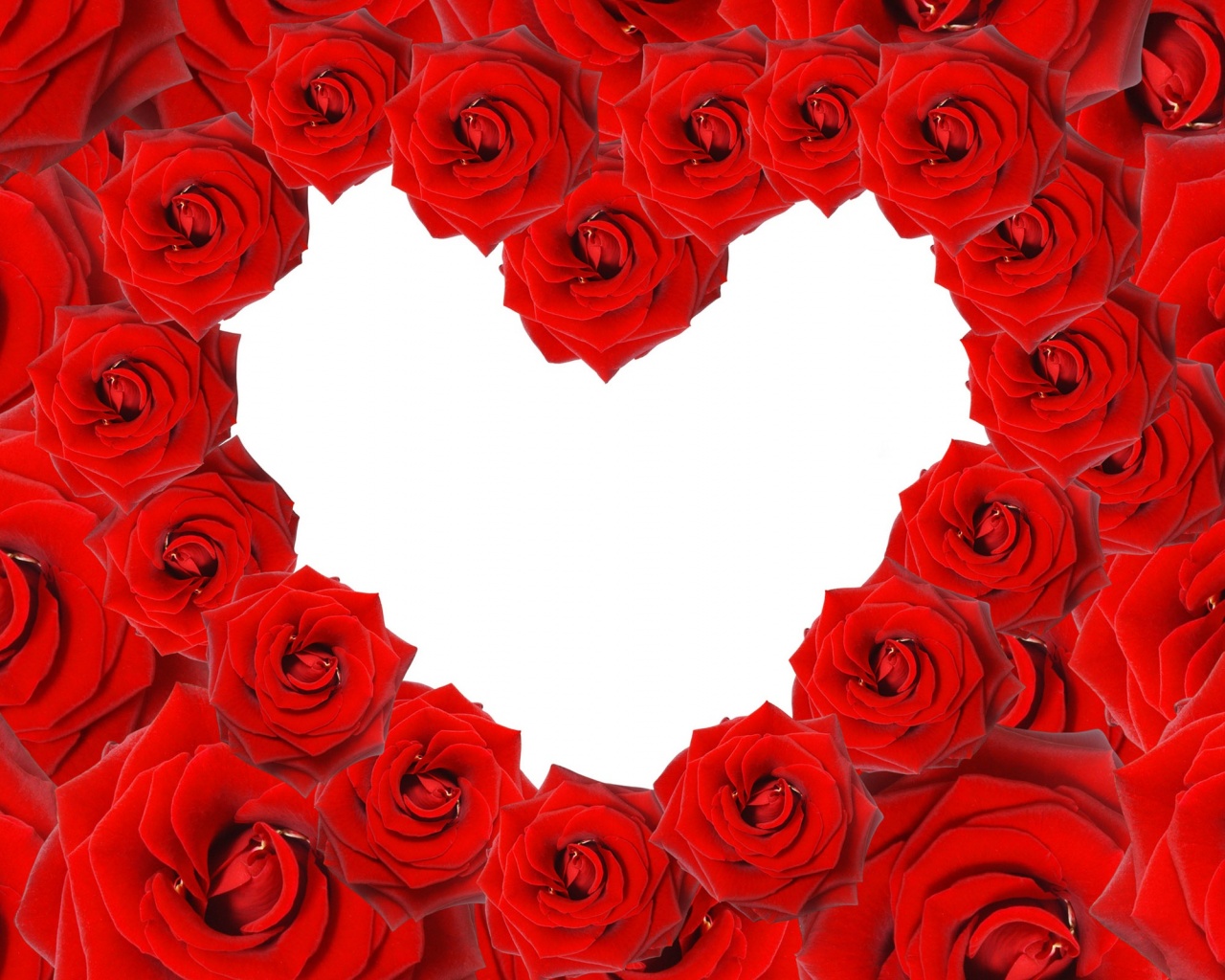 Red Roses Love Heart