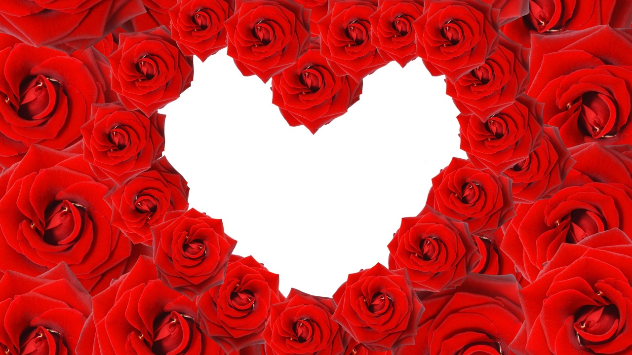 Red Roses Love Heart