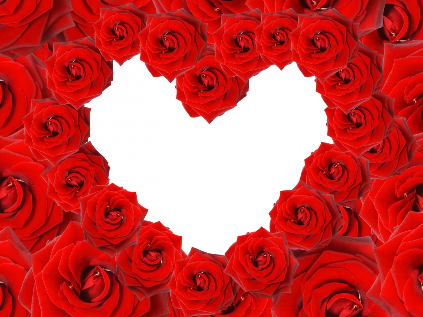 Red Roses Love Heart