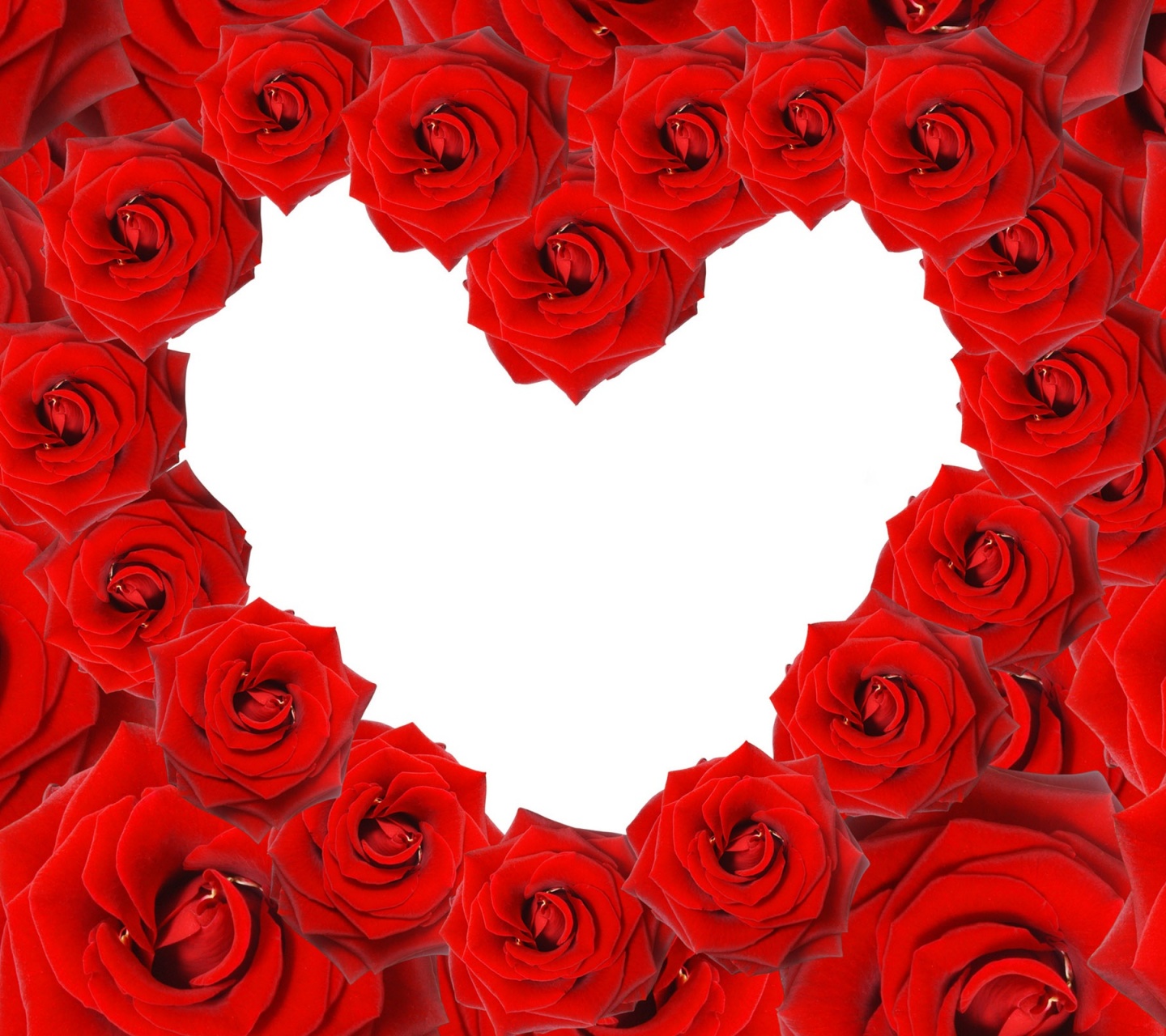 Red Roses Love Heart