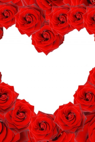 Red Roses Love Heart