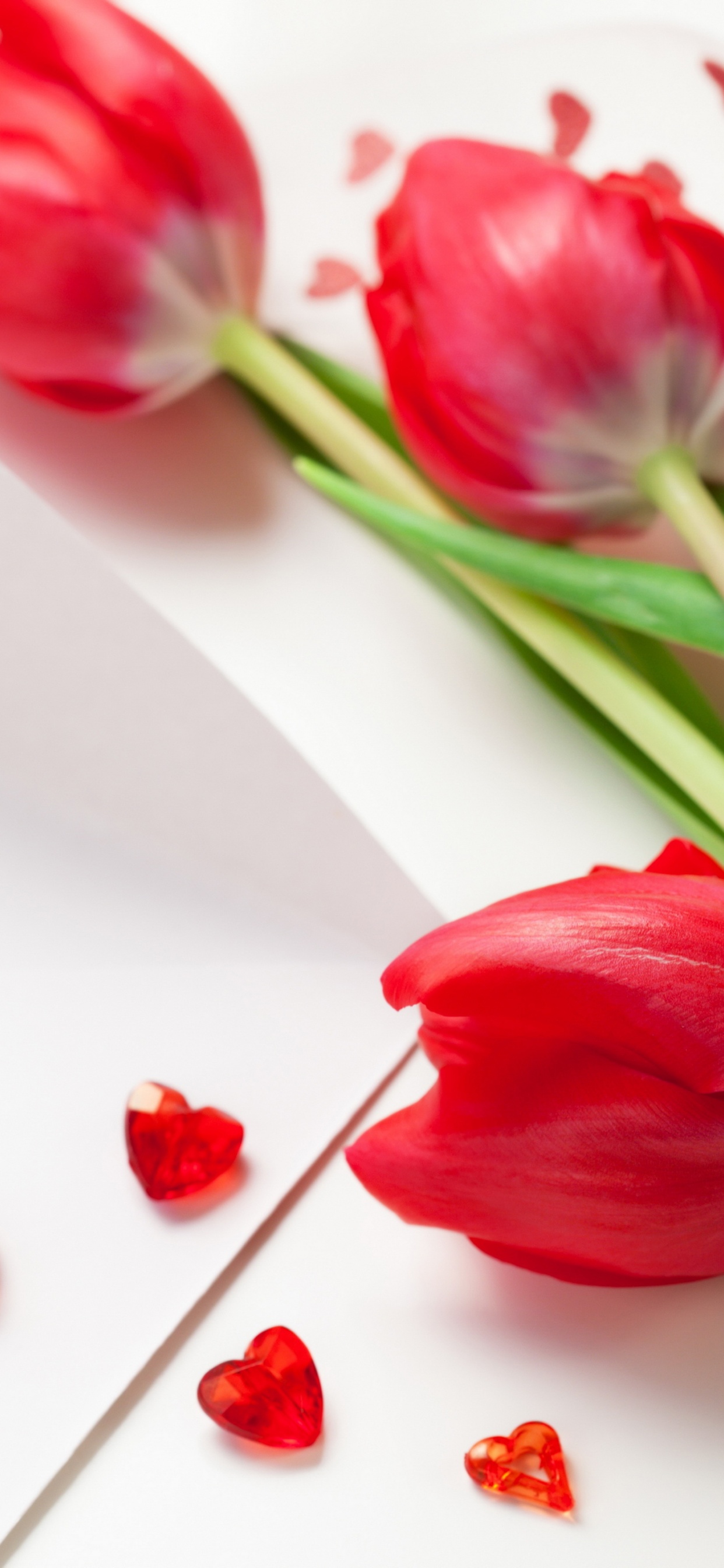 Red Tulips For Womens Day