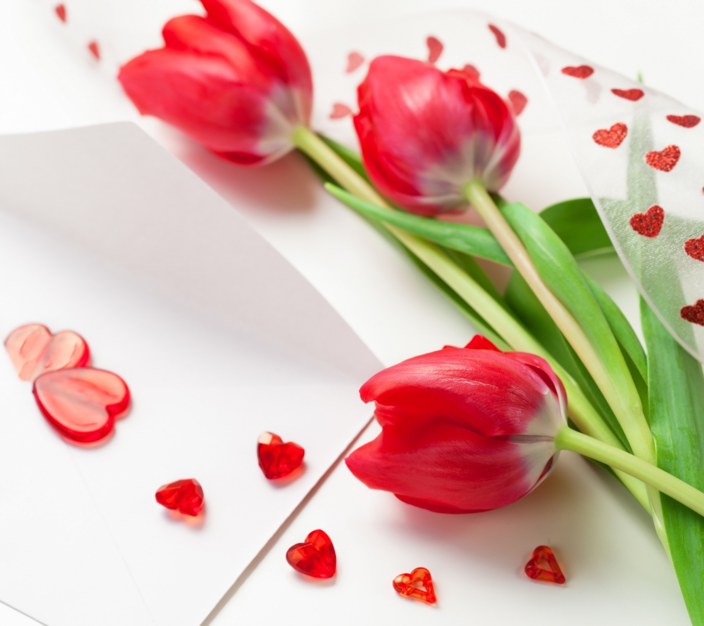 Red Tulips For Womens Day