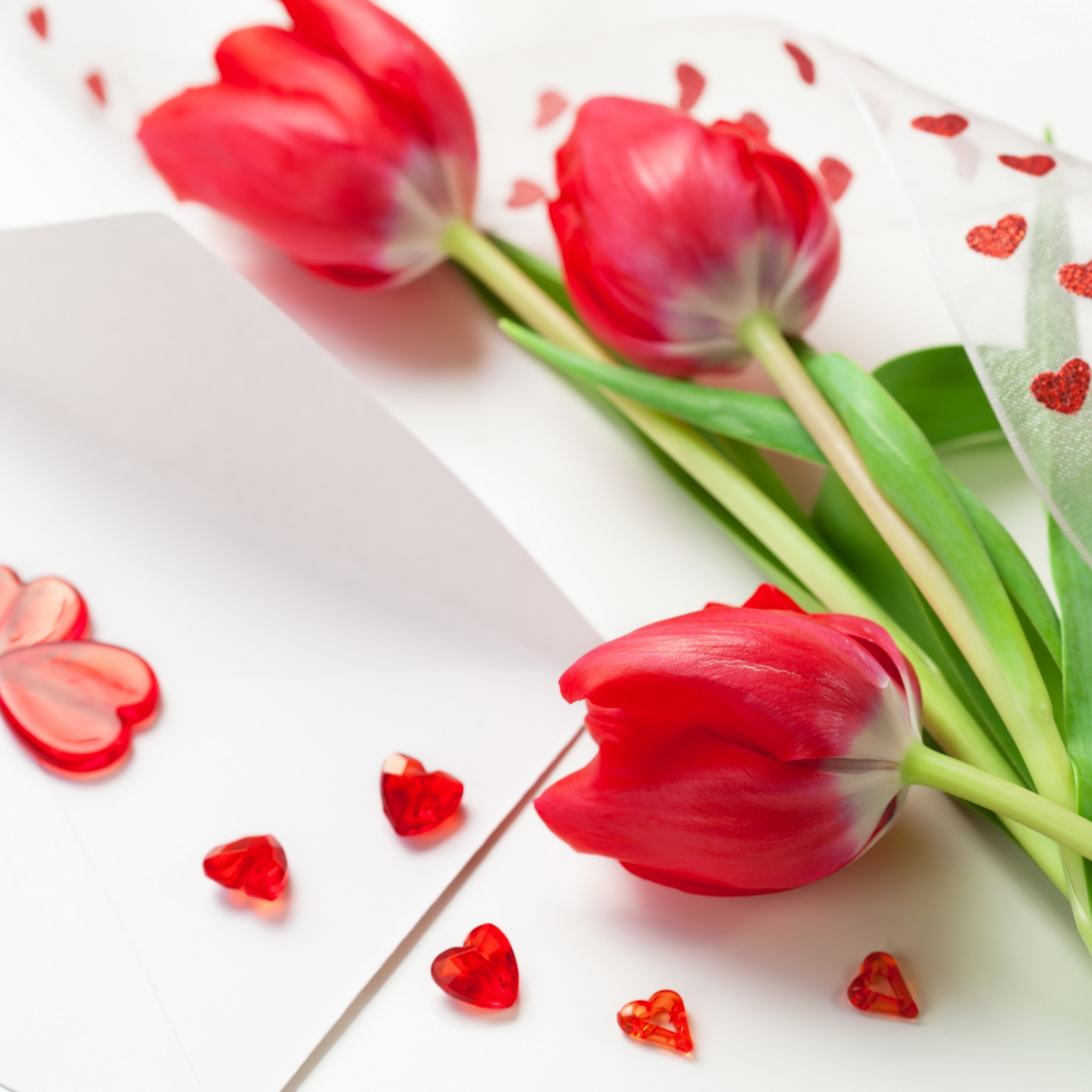 Red Tulips For Womens Day