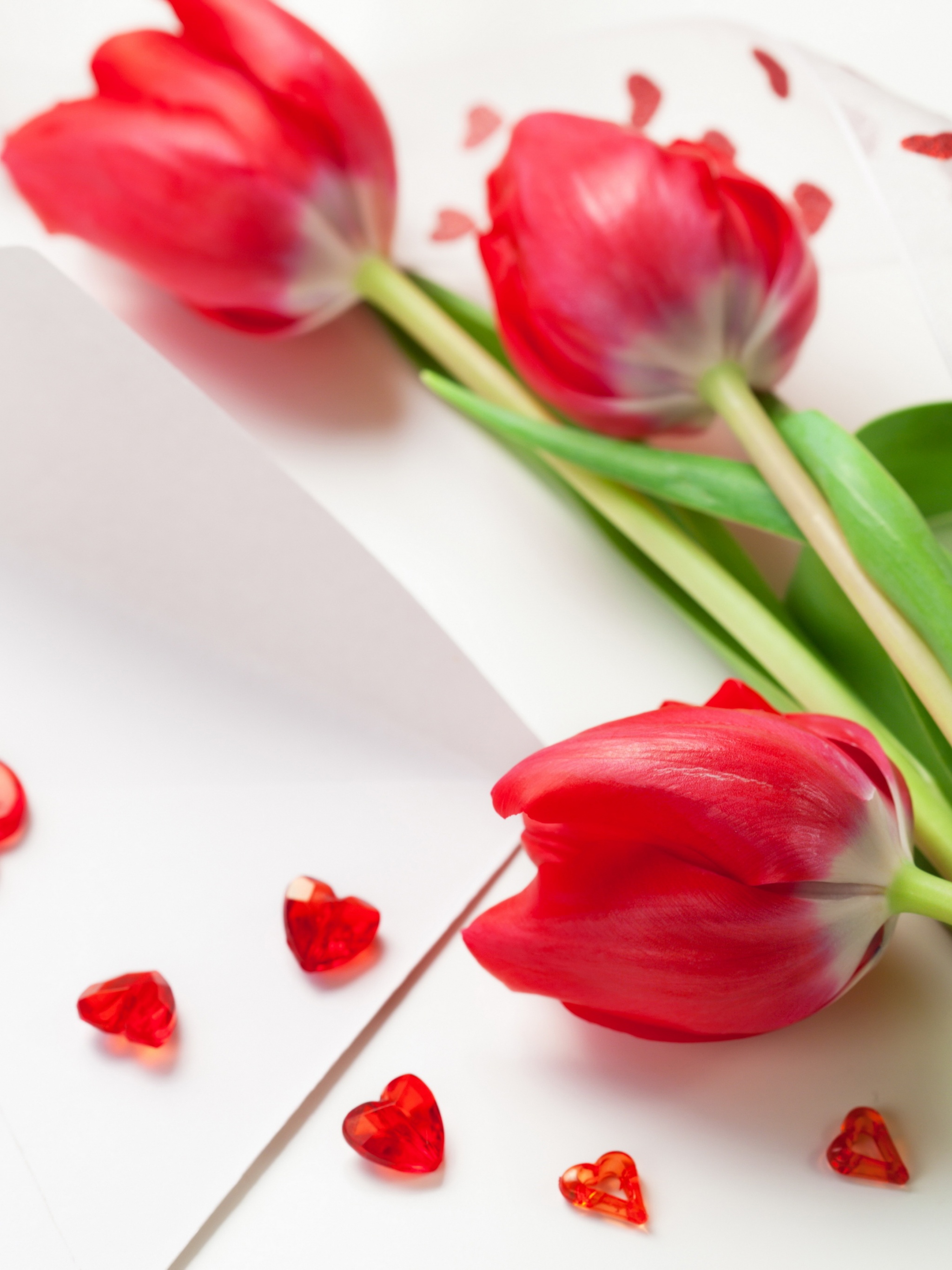 Red Tulips For Womens Day