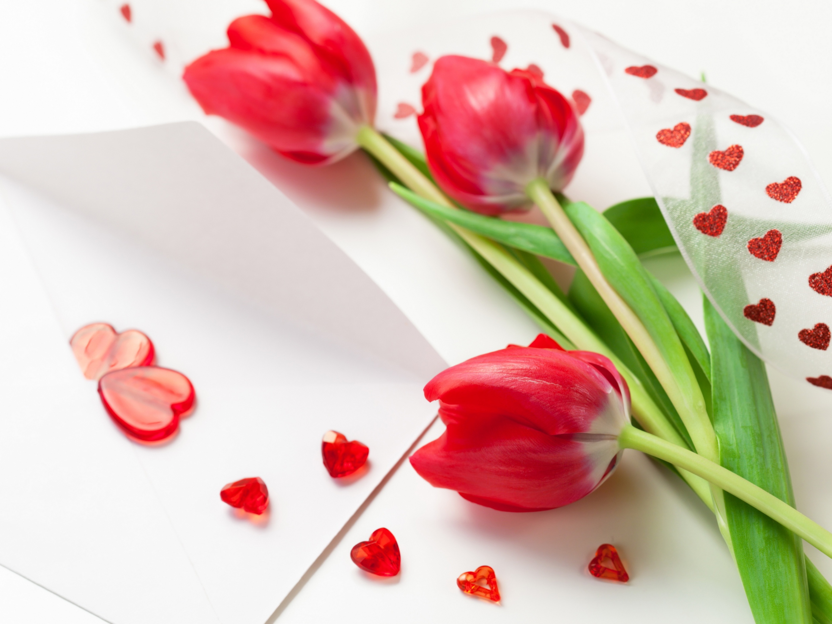 Red Tulips For Womens Day