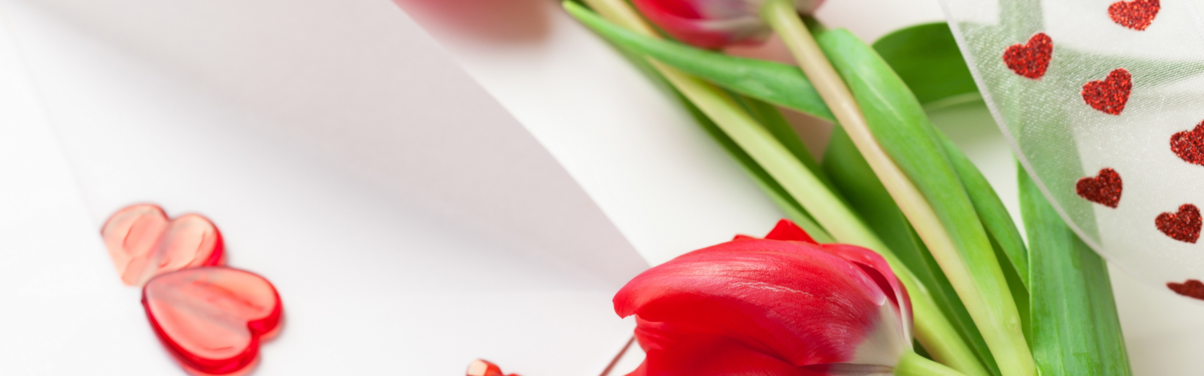 Red Tulips For Womens Day