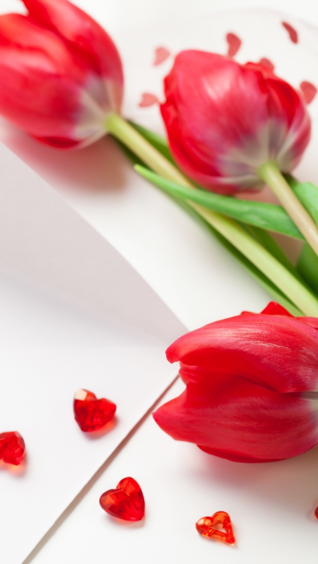 Red Tulips For Womens Day