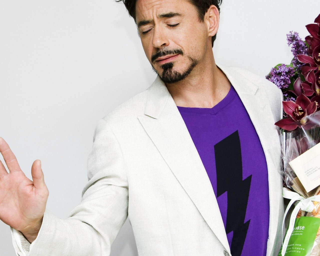 Robert John Downey Jr Actor Male Celebrities