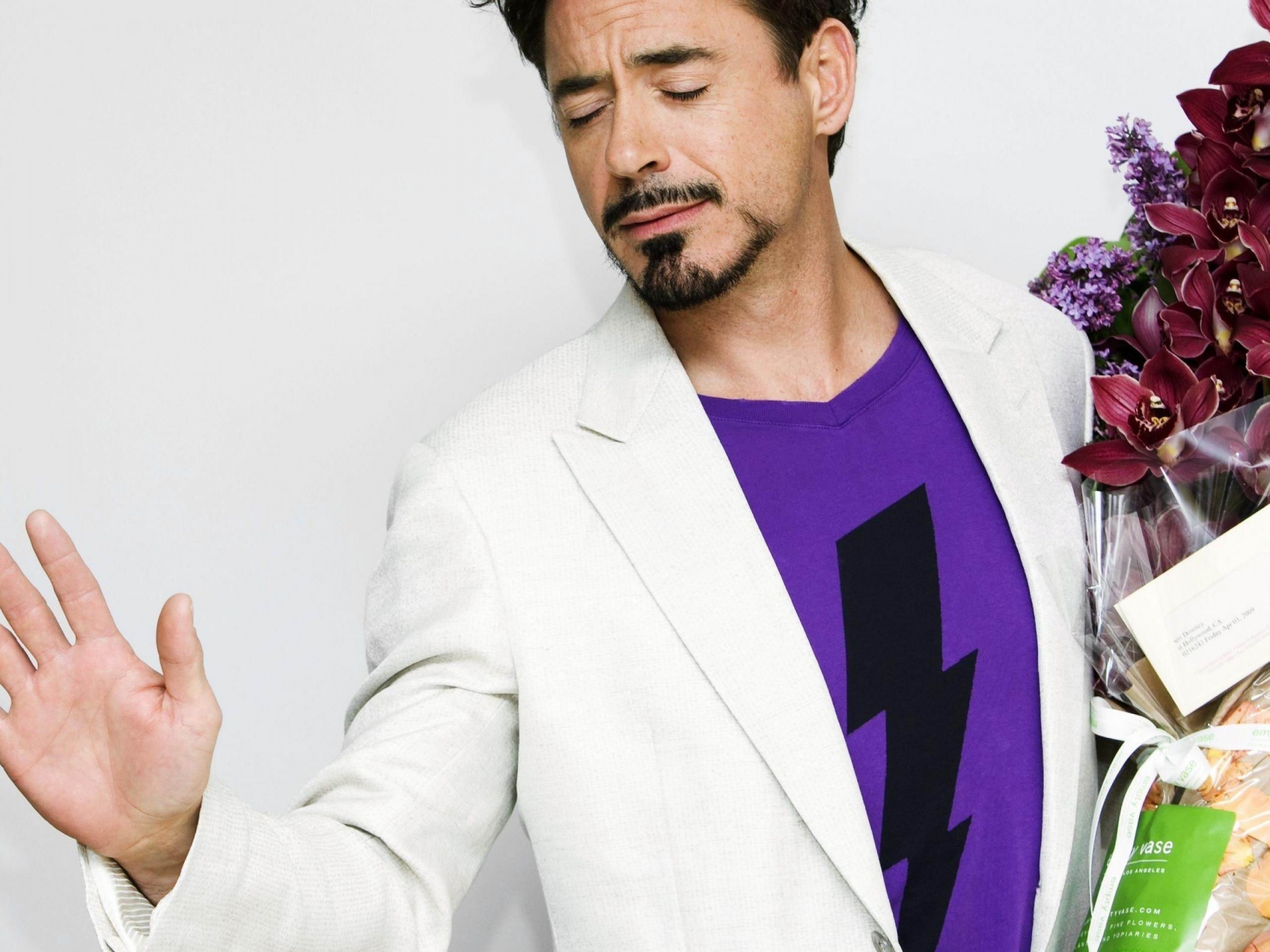 Robert John Downey Jr Actor Male Celebrities