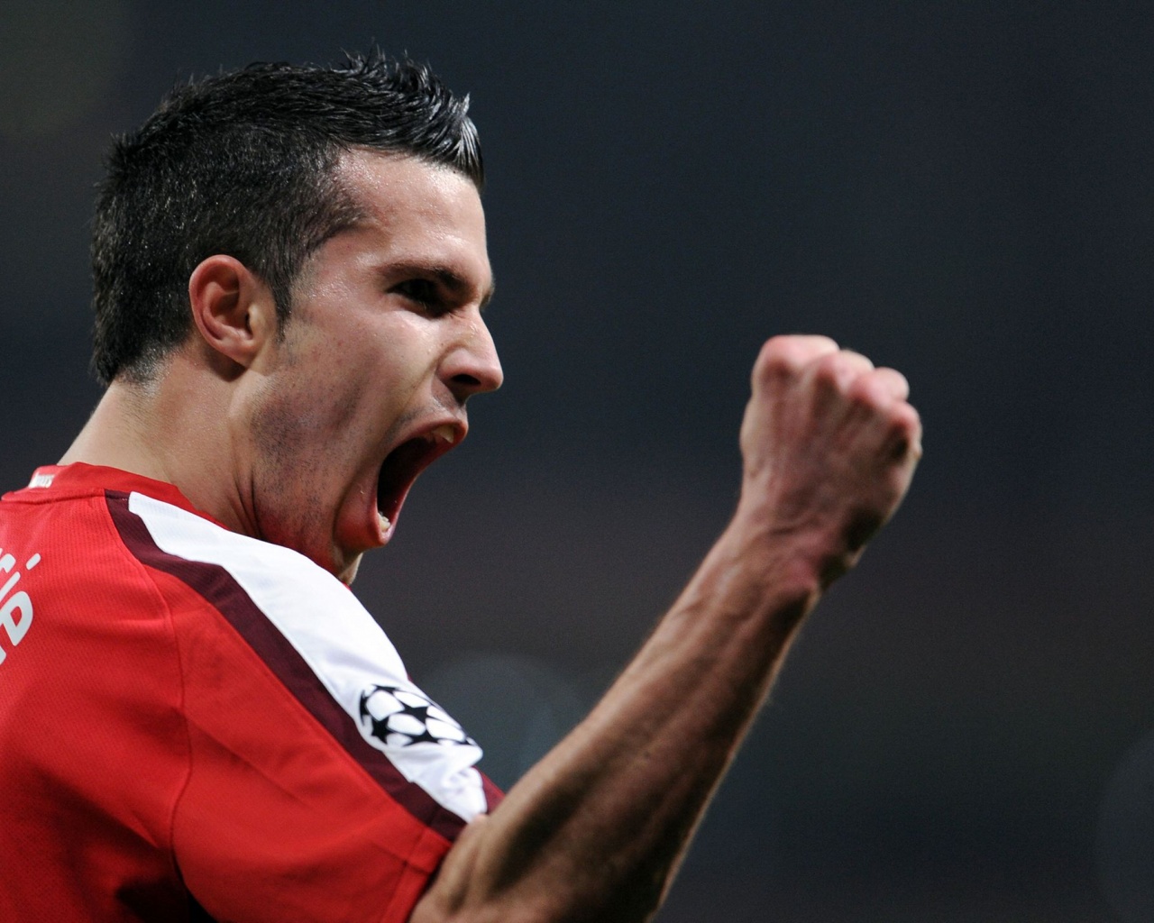 Robin Van Persie