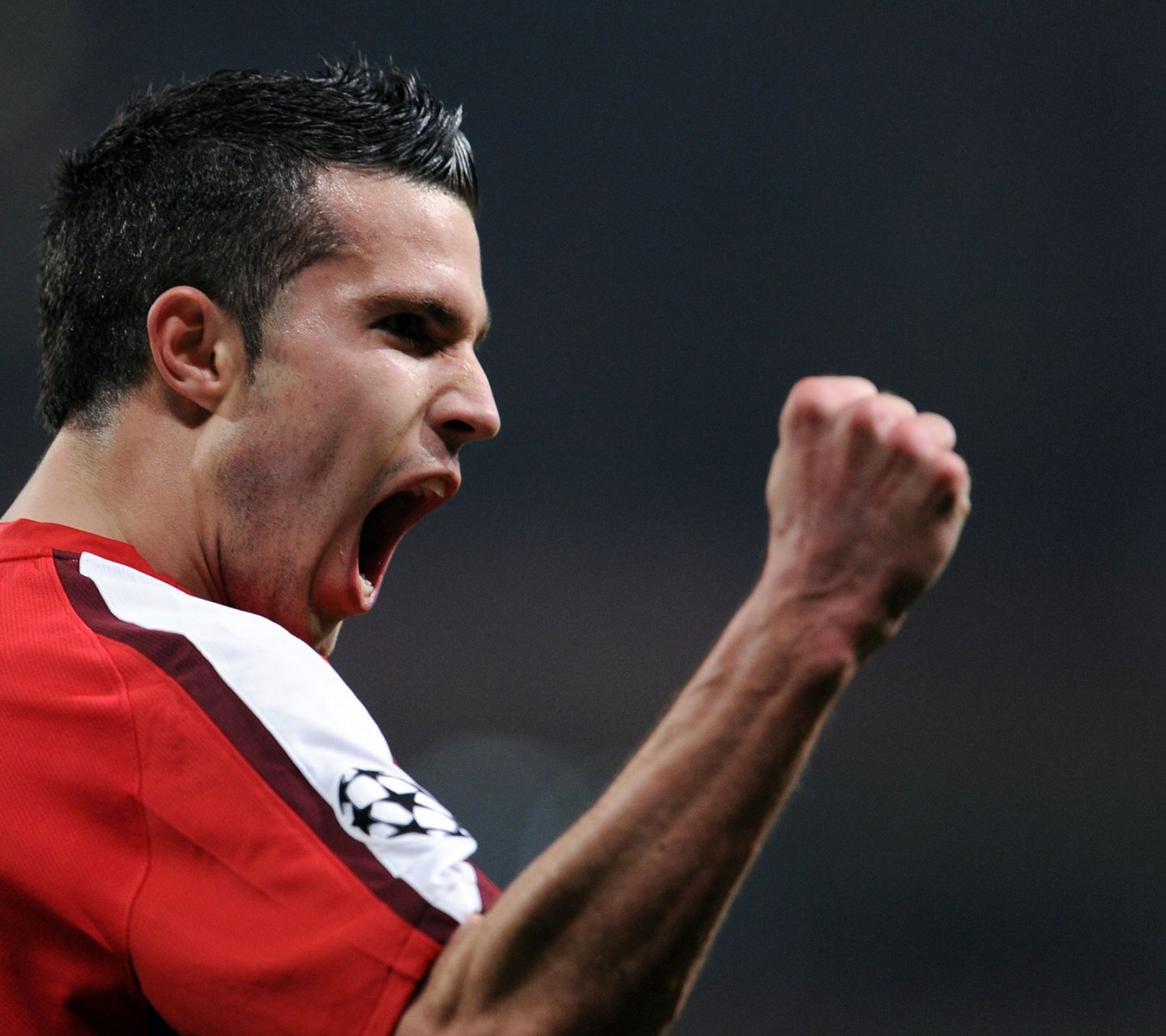 Robin Van Persie