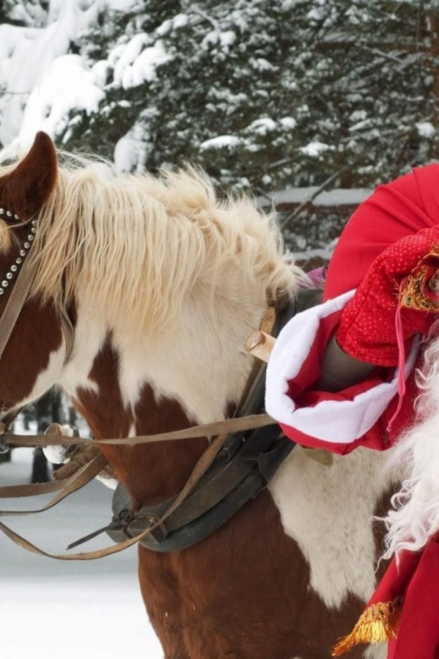 Santa Claus Horse New Year Forest