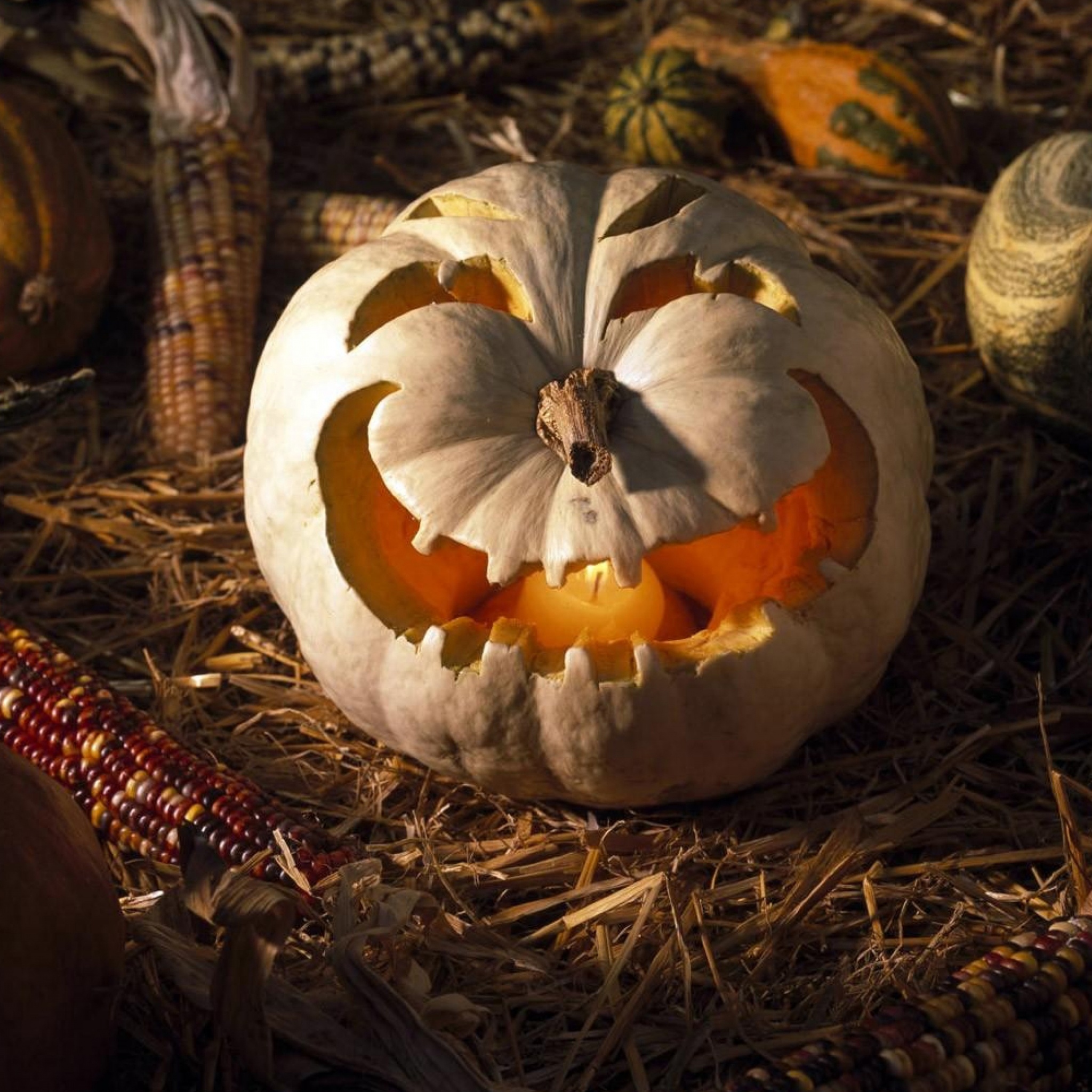 Scary Halloween Pumpkin Face