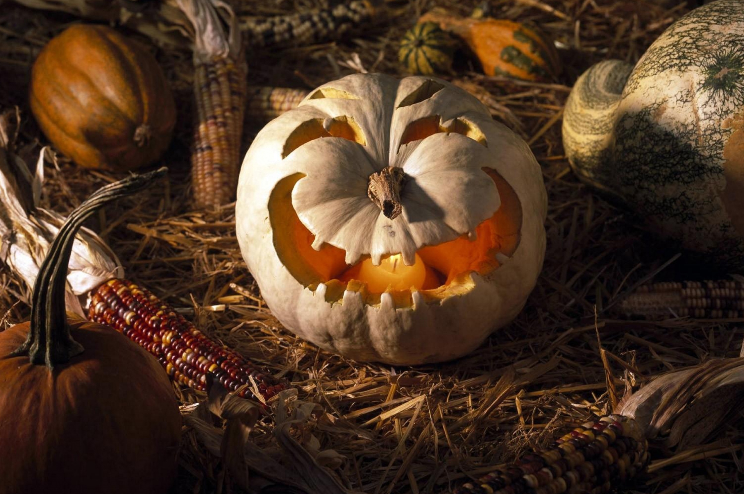 Scary Halloween Pumpkin Face