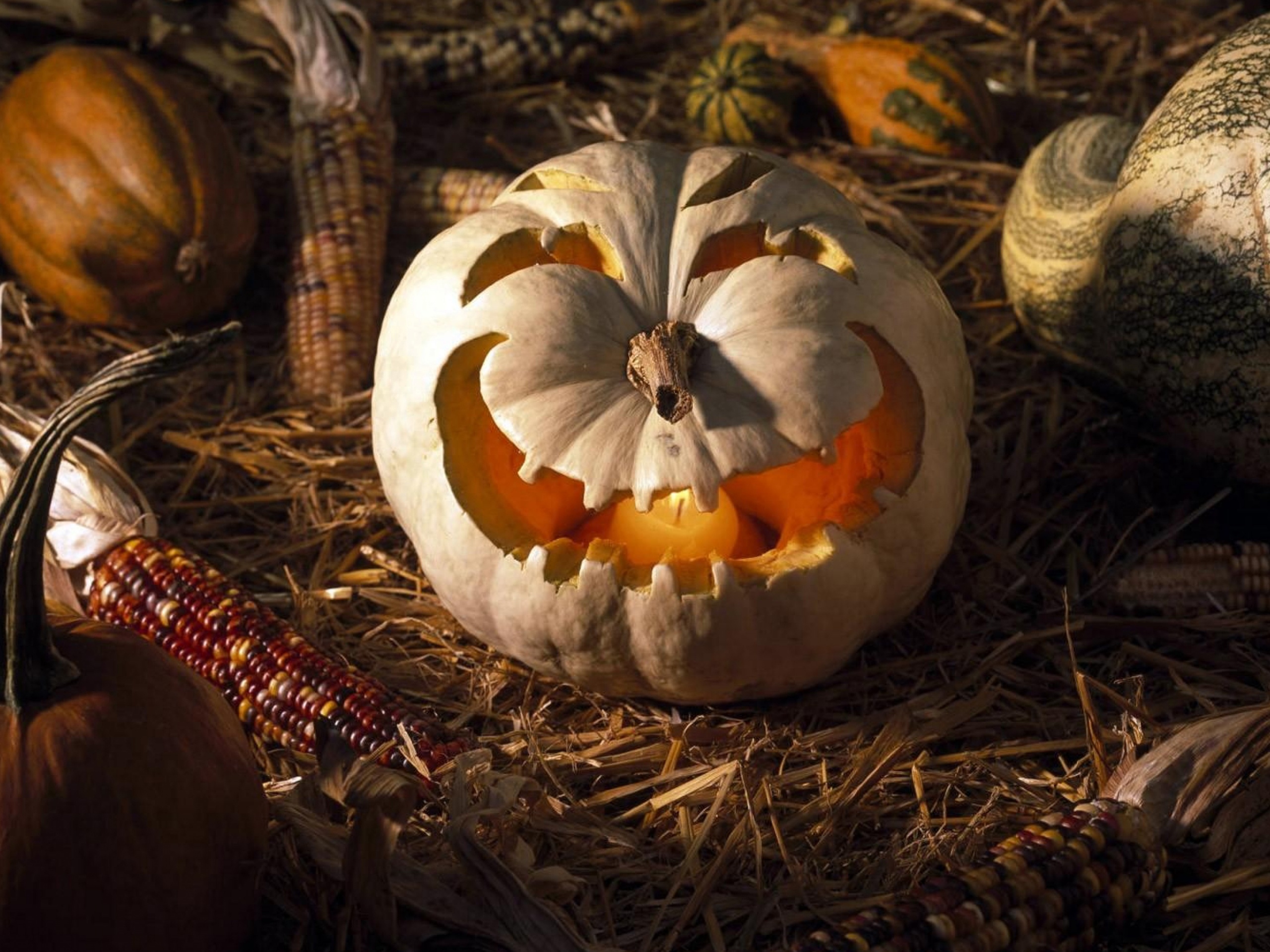 Scary Halloween Pumpkin Face