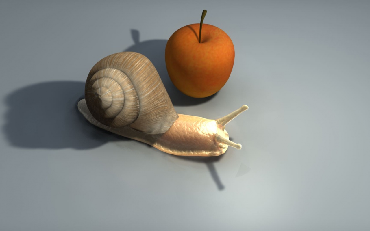 Schnecke Is The File Name