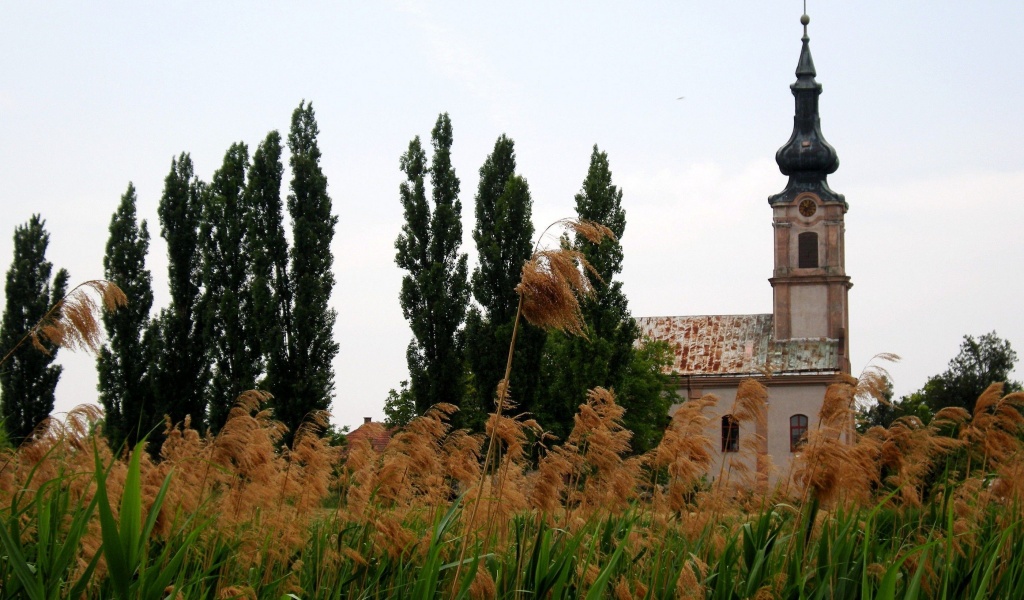 Serbian Orthodox Church Vojvodina Serbia