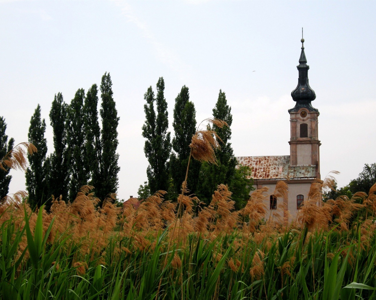 Serbian Orthodox Church Vojvodina Serbia