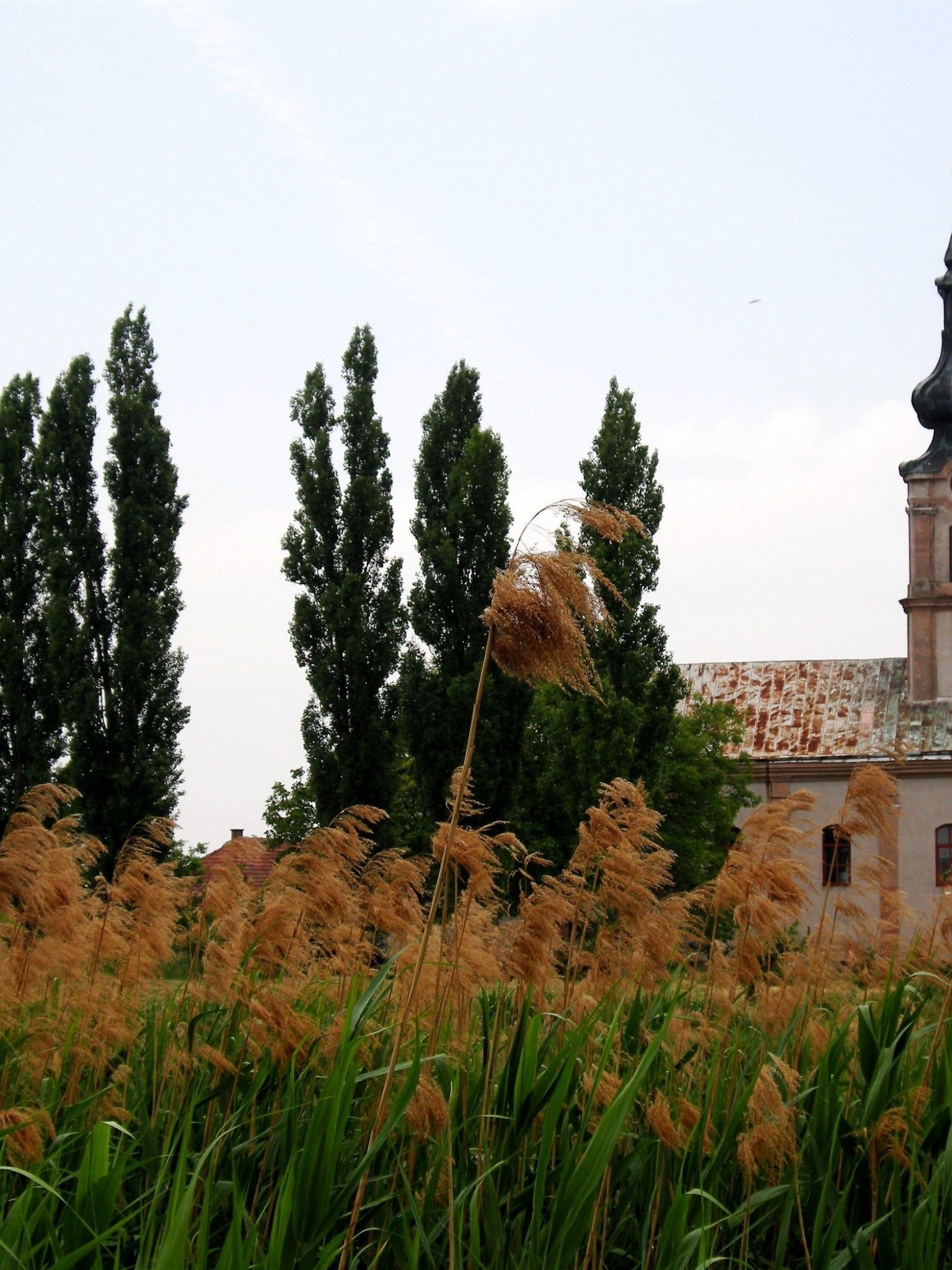 Serbian Orthodox Church Vojvodina Serbia