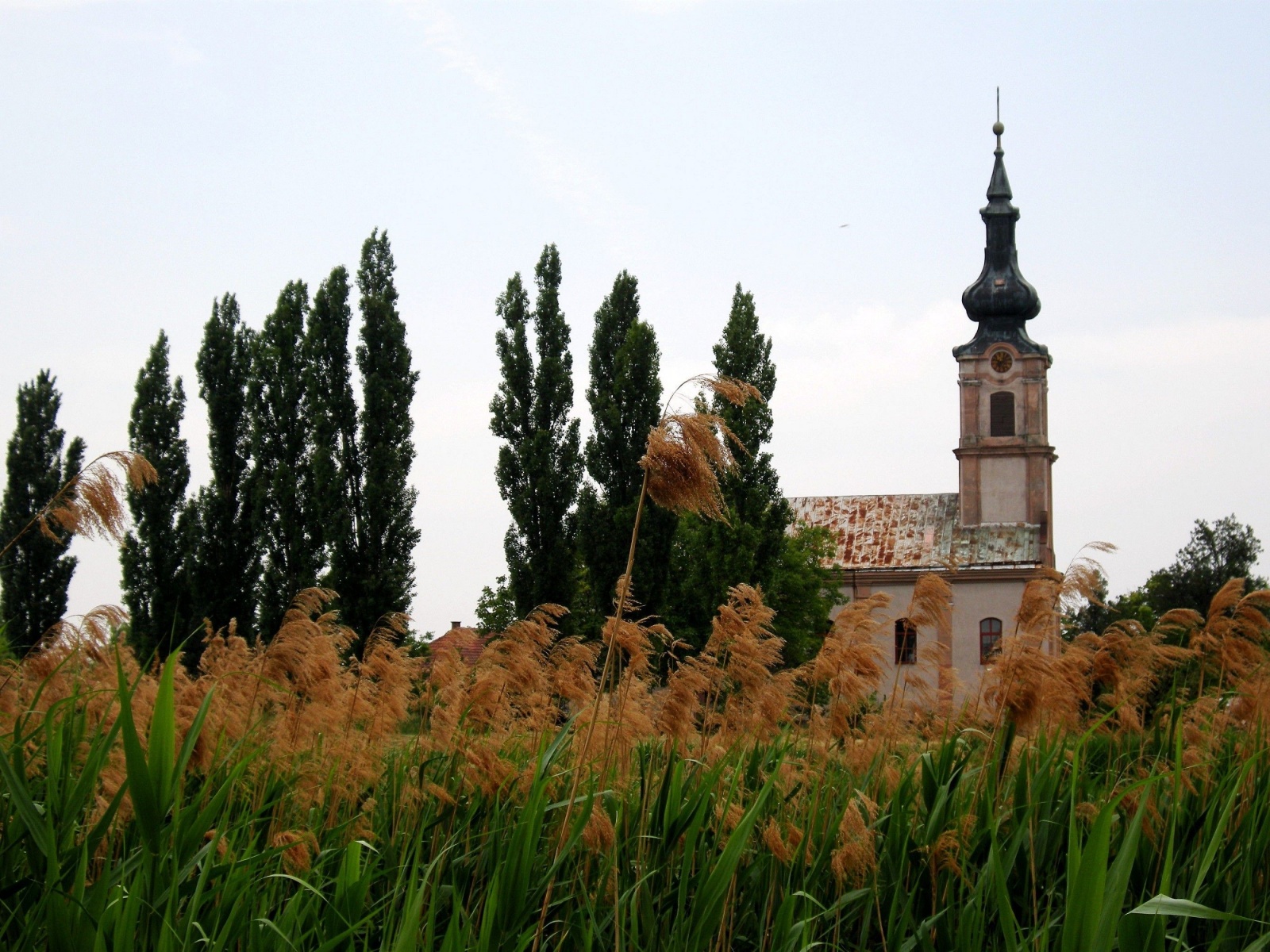 Serbian Orthodox Church Vojvodina Serbia