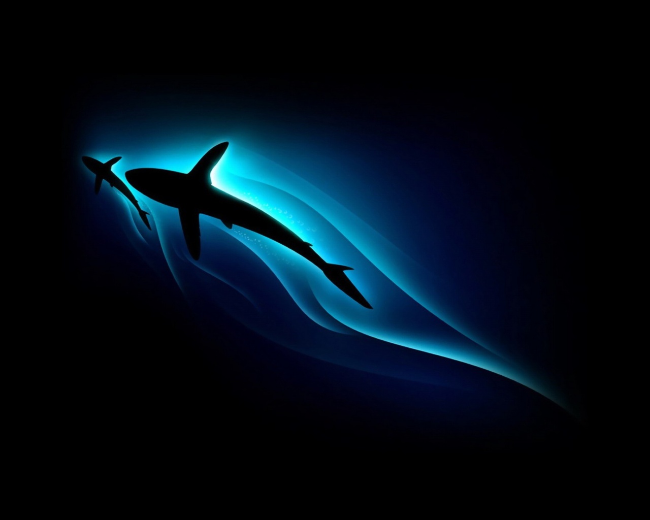 Shark Silhouette