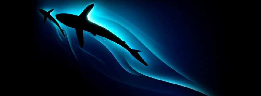 Shark Silhouette