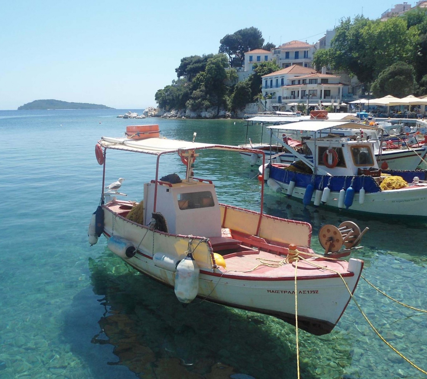 Skiathos Plakes Pier Sporades Thessalia Sterea Ellada Greece