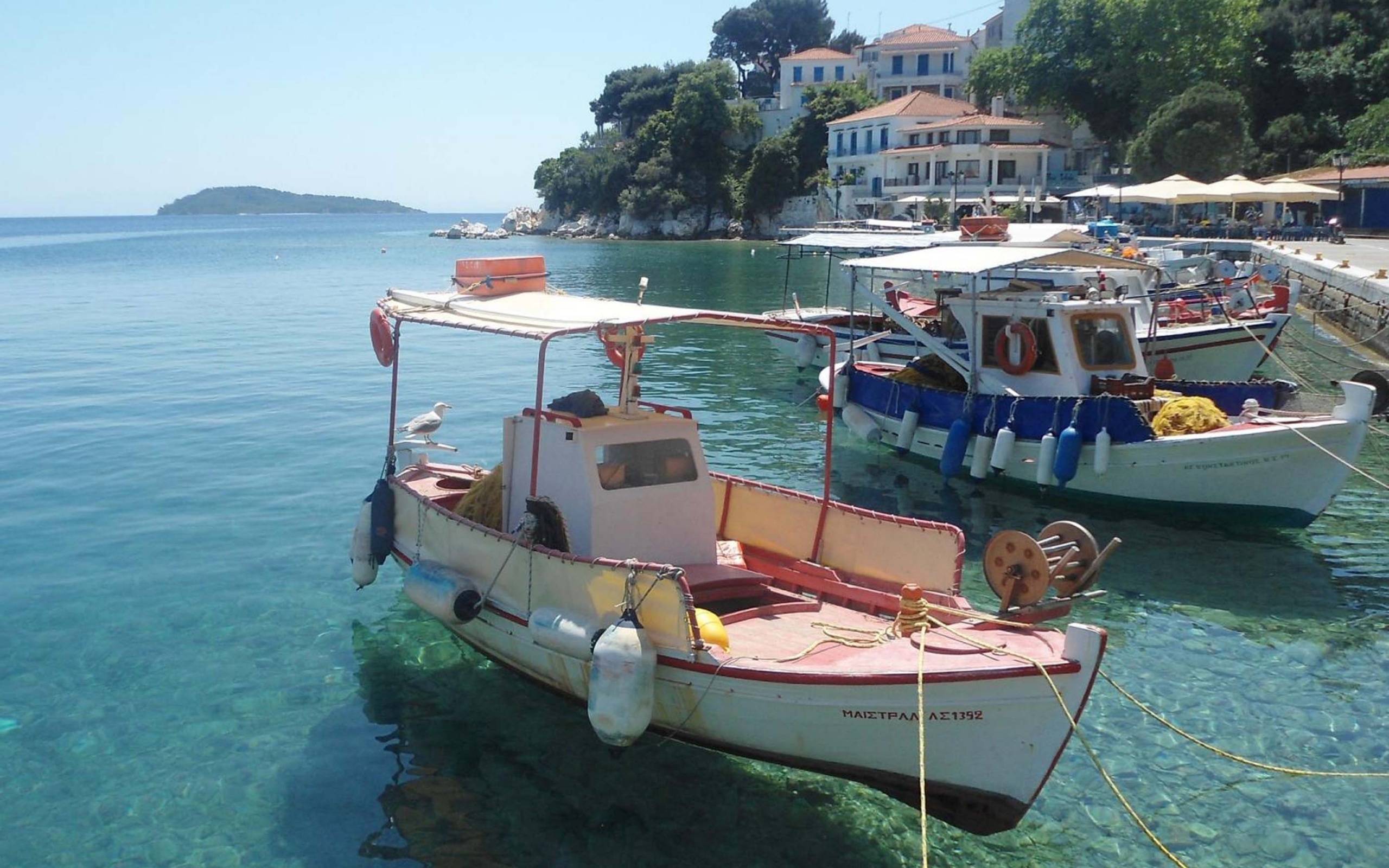 Skiathos Plakes Pier Sporades Thessalia Sterea Ellada Greece