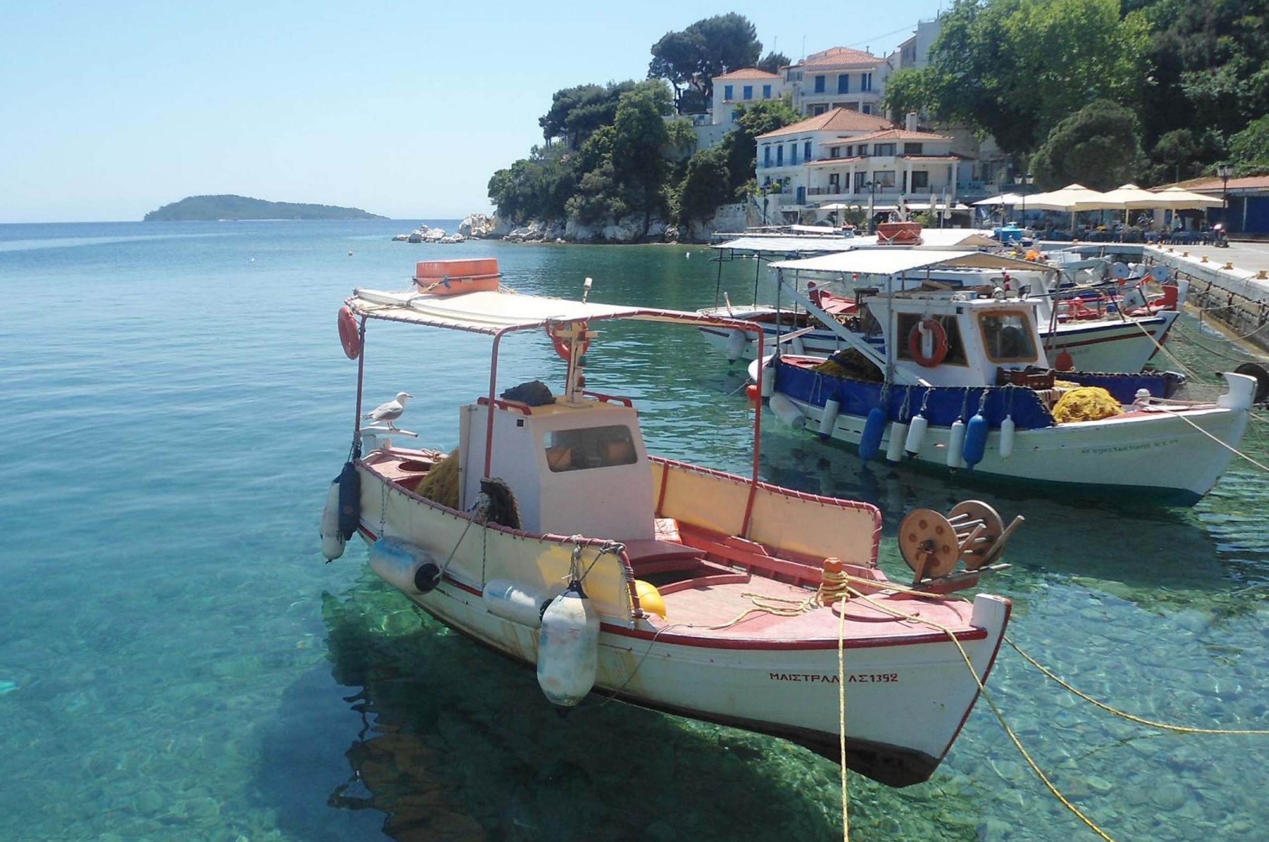 Skiathos Plakes Pier Sporades Thessalia Sterea Ellada Greece