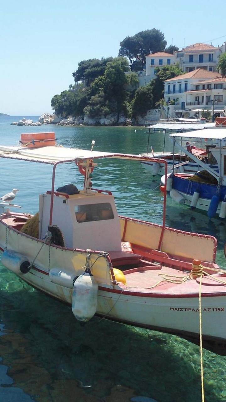 Skiathos Plakes Pier Sporades Thessalia Sterea Ellada Greece