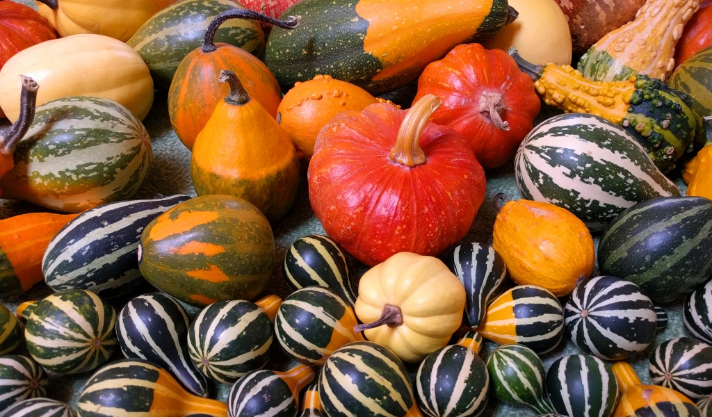 Small Pumpkins For Halloween Party