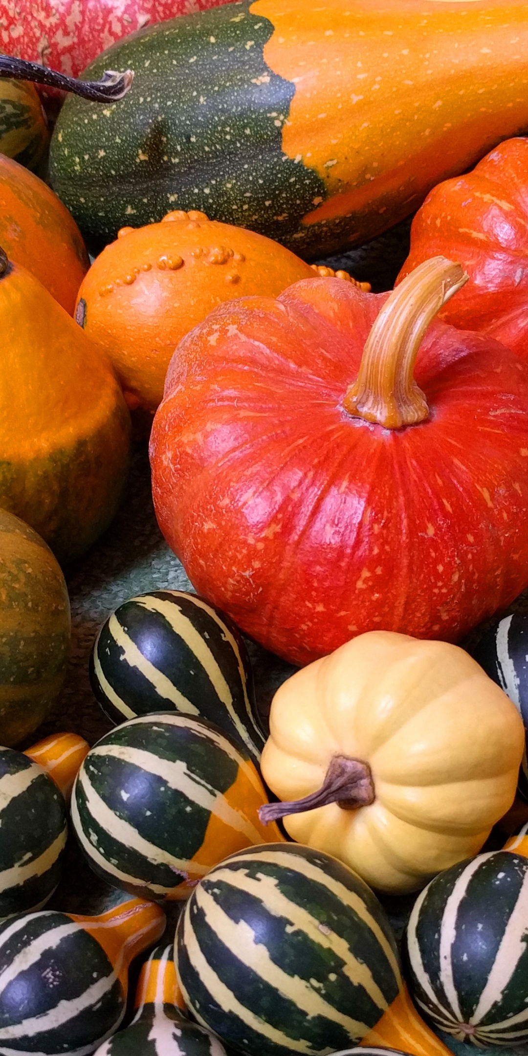 Small Pumpkins For Halloween Party