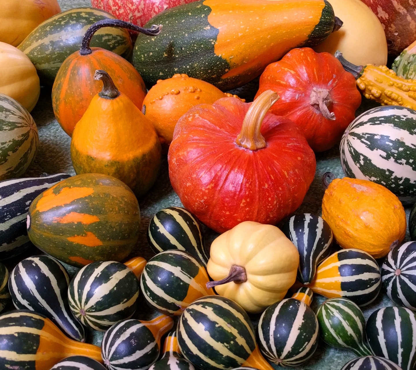 Small Pumpkins For Halloween Party