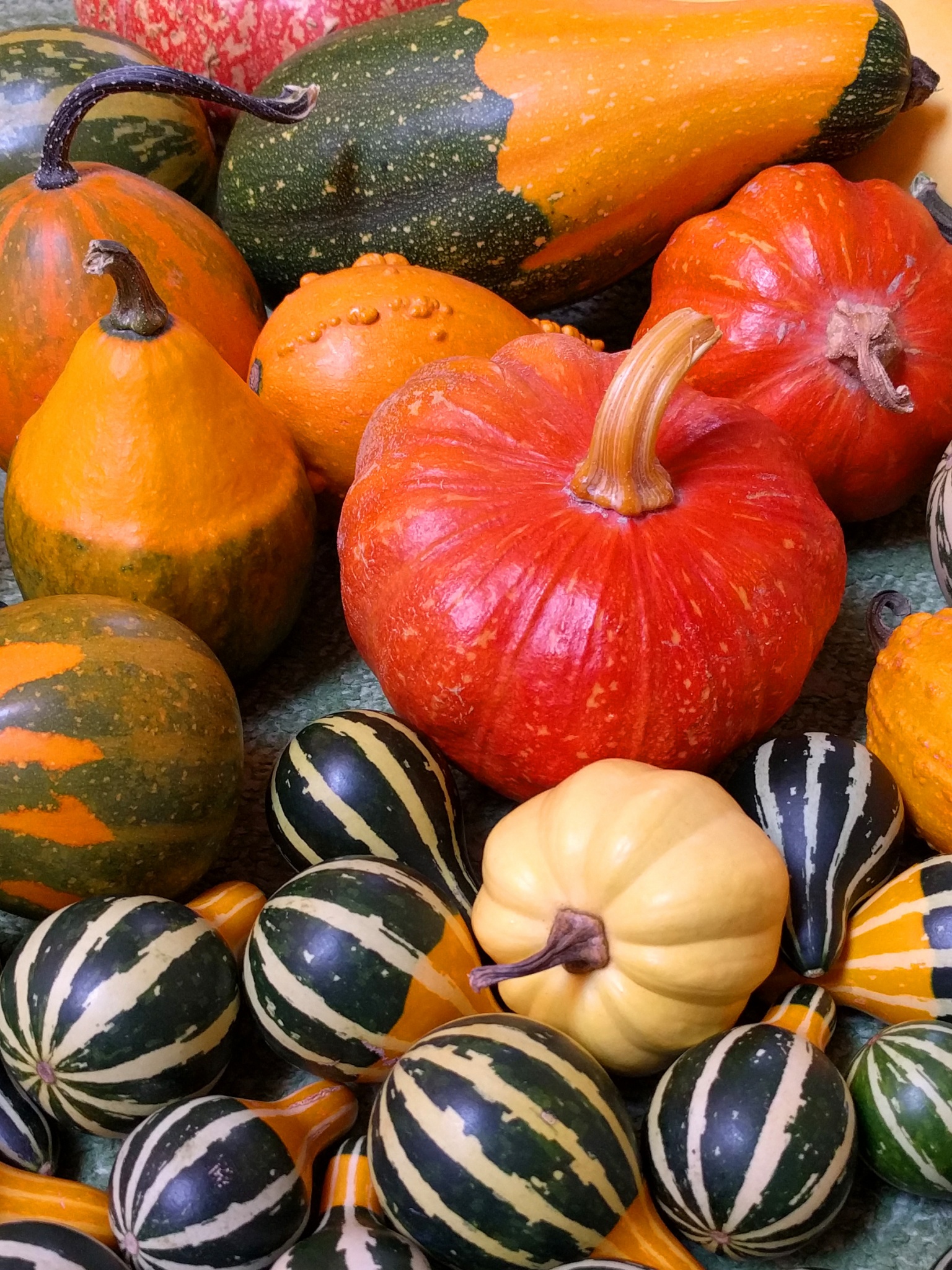 Small Pumpkins For Halloween Party