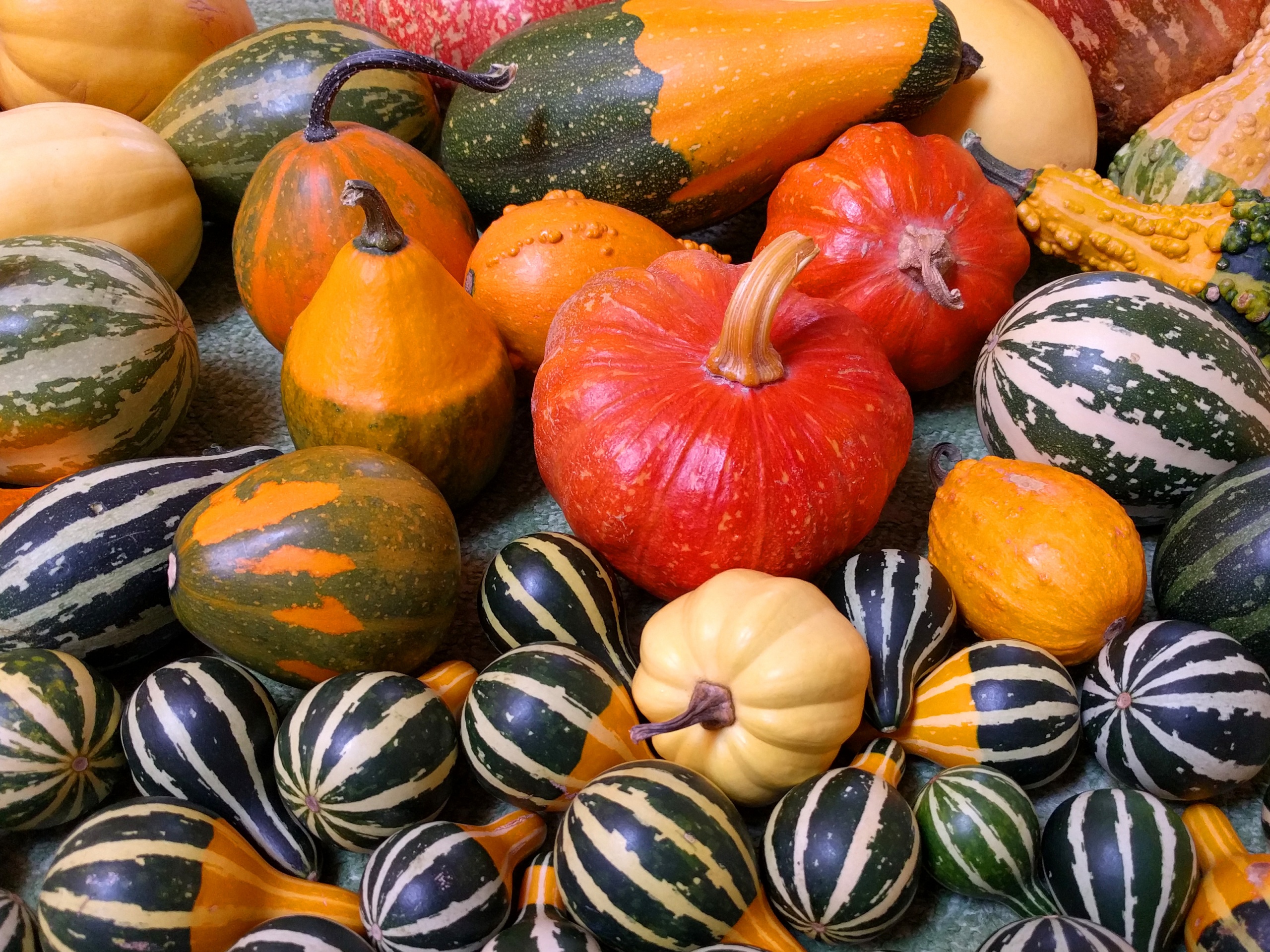 Small Pumpkins For Halloween Party