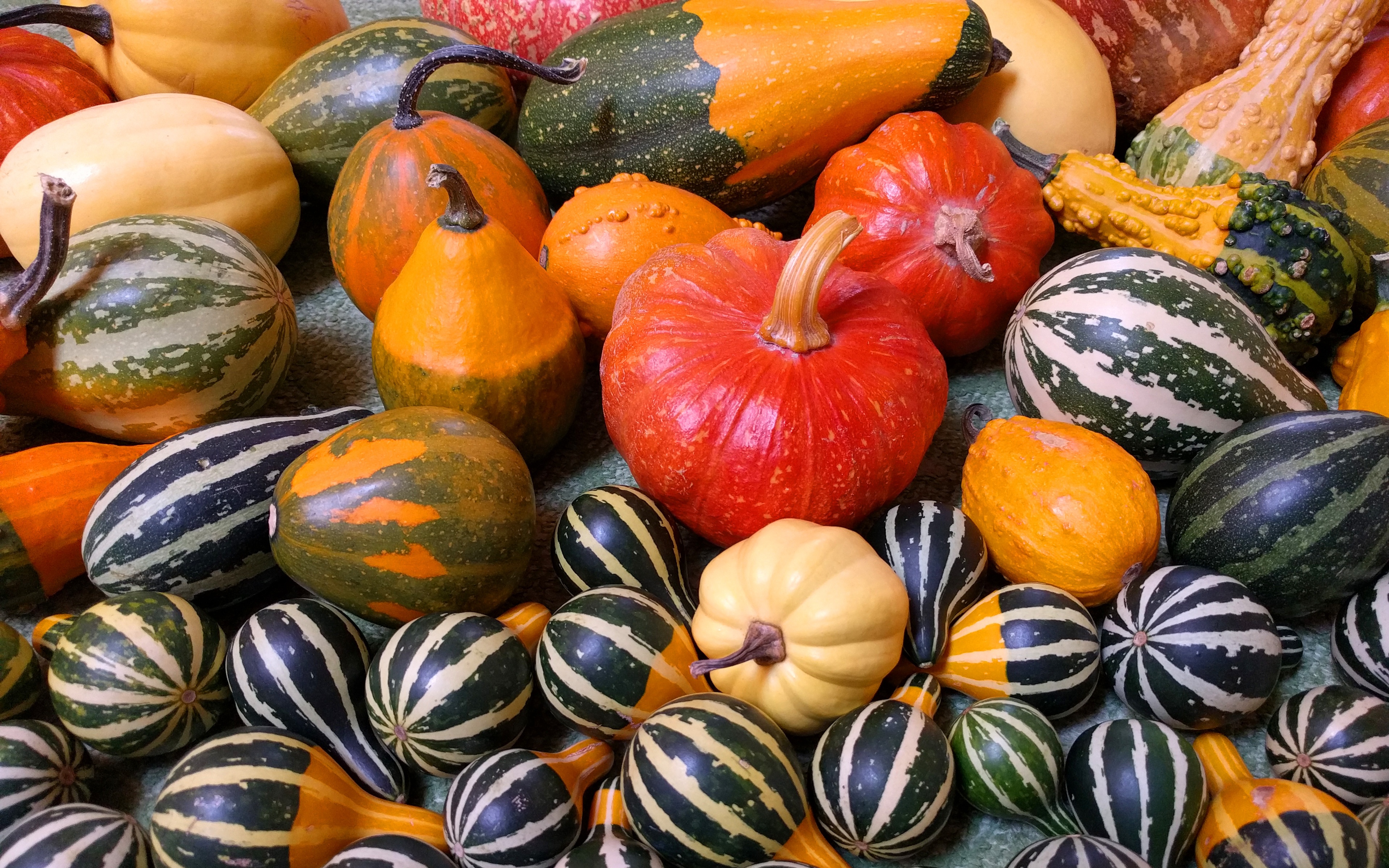 Small Pumpkins For Halloween Party