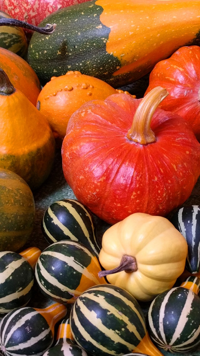 Small Pumpkins For Halloween Party