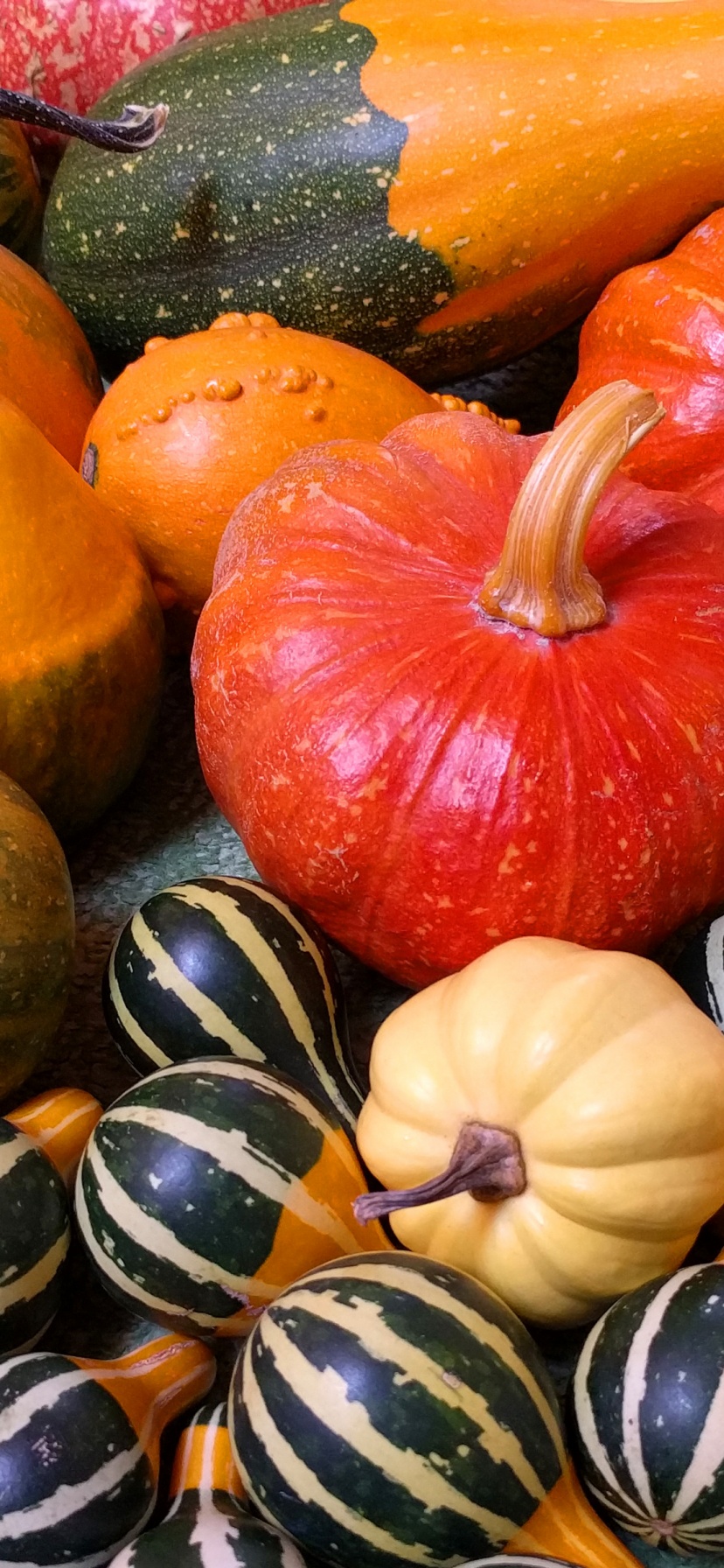 Small Pumpkins For Halloween Party